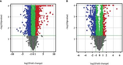 Long Non-Coding RNA and mRNA Expression Analysis in Liver of Mice With Clonorchis sinensis Infection